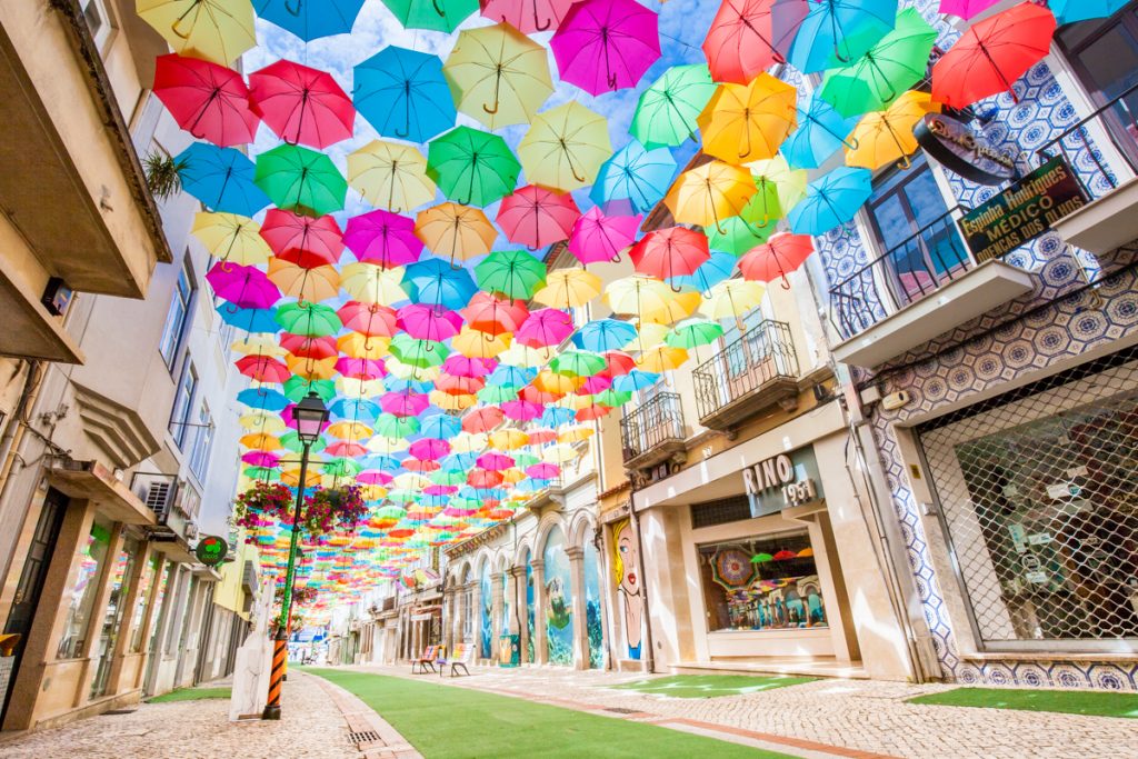 アゲダ　アンブレラフェスタ アゲダ アンブレラフェスタ 【公式通販】